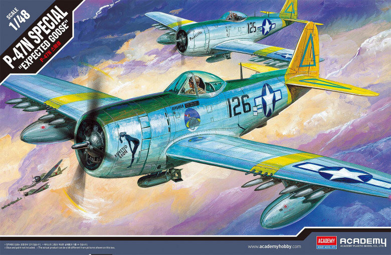 1/48 P-47N SPECIAL