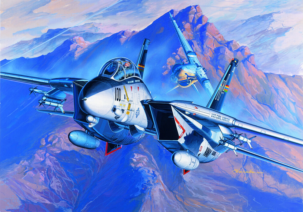 1/72 F-14A
