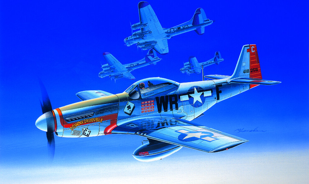 1/72 P-51D