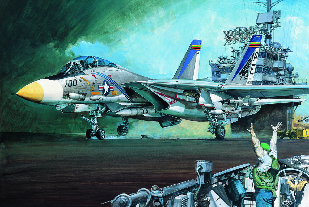 USN F-14A ″VF-143 Punkin Dogs″