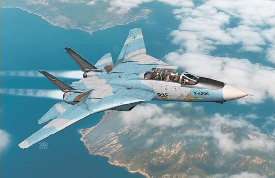 1/72 F-14A ″IRIAF″