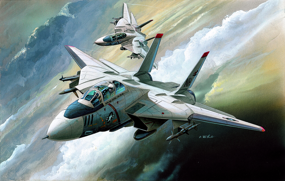 1/144 F-14A