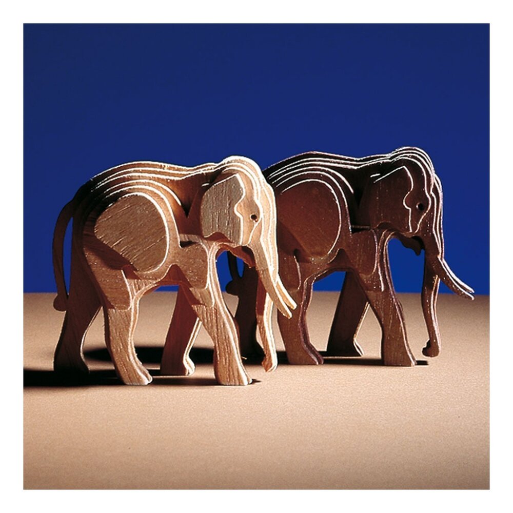 Elefante piccolo