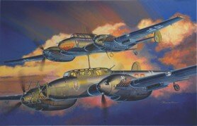 Bf110D/E Night Fighter (2 in1) ''Wing Tech