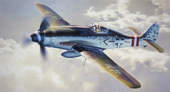 Focke Wulf fw190D-9 Langnasen-Dora