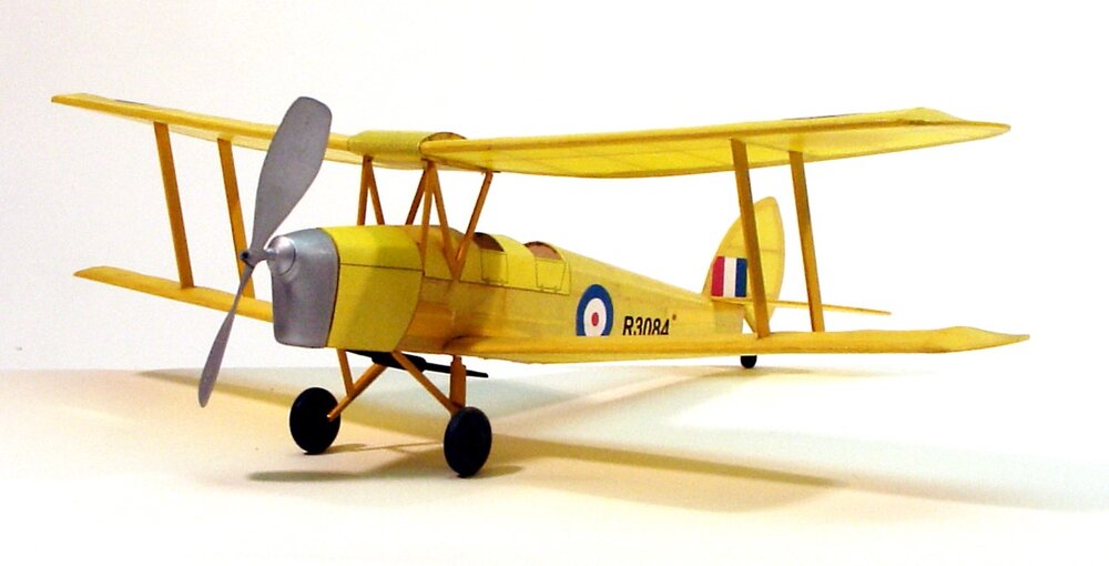 TIGER MOTH