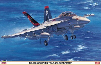 EA-18G Growler VAQ-132 Scorpions (1)