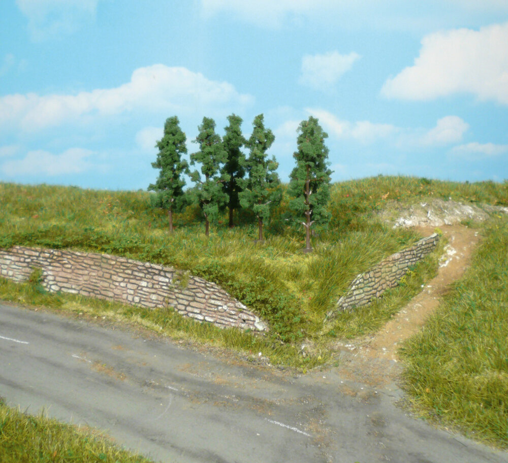 6 SCHWARZPAPPELN 5,5CM