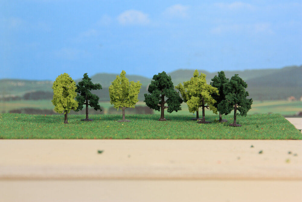8 LAUBBAUME 4CM