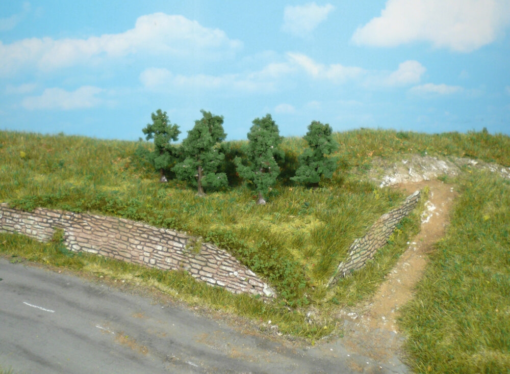 6 APFELBAUME 4CM