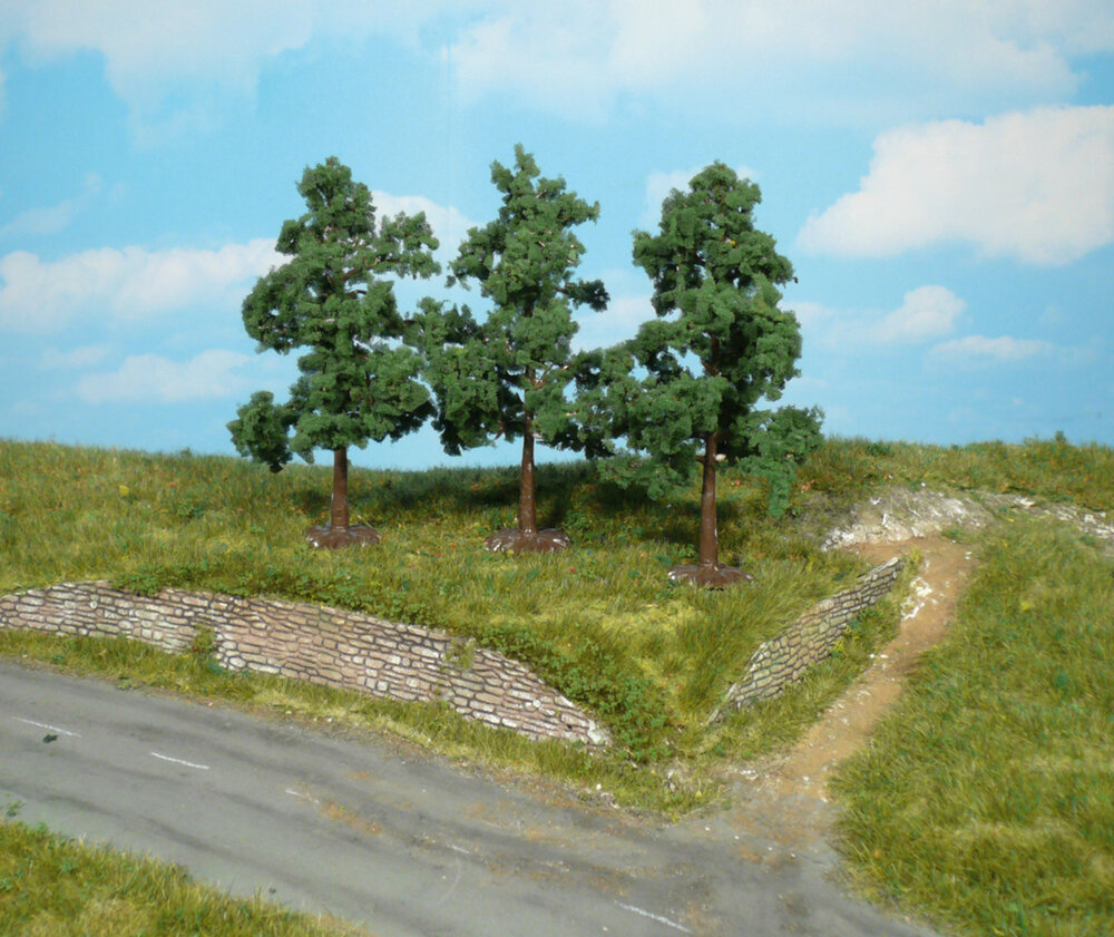 4 OBSTBAUME 8-12CM