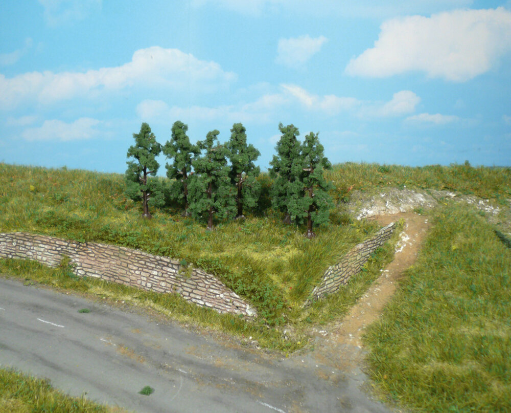 6 BIRNBAUME 6CM