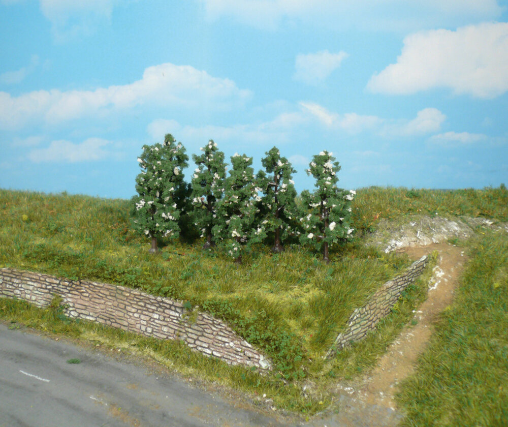 6 BIRNBAUME GRUN-WEISS6CM