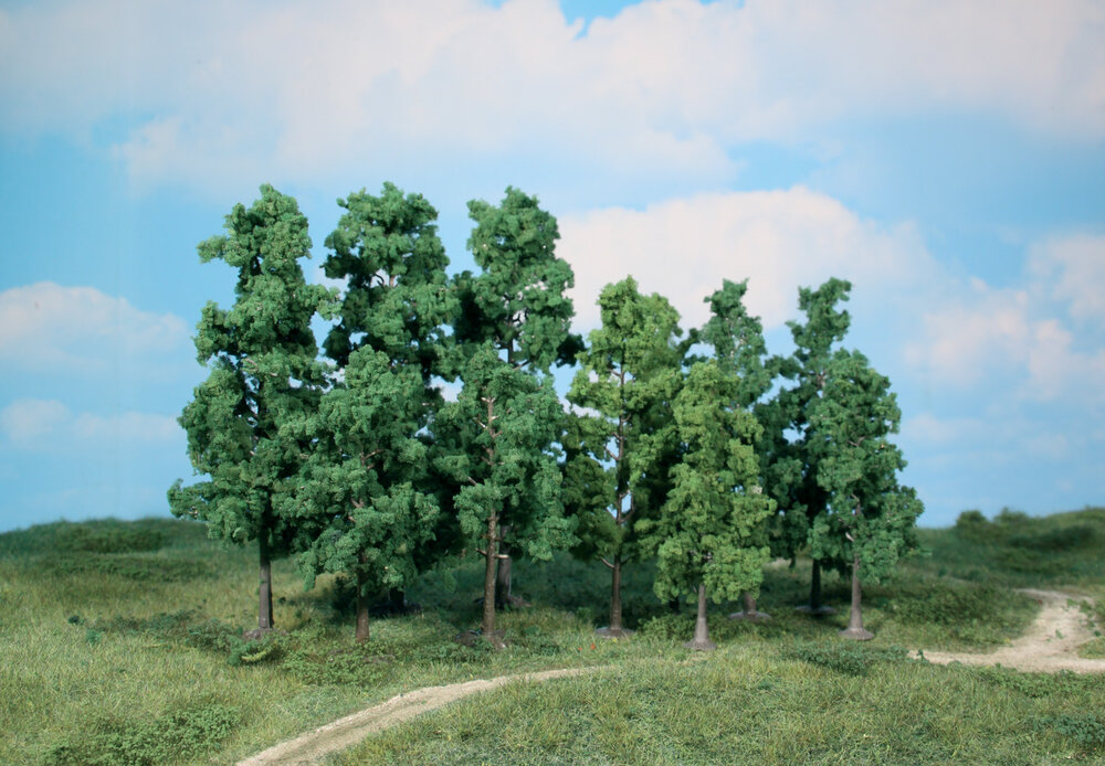 60 LAUBBAUME 10-13CM