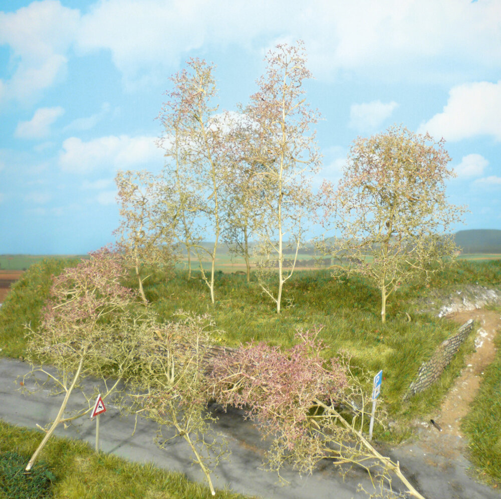 SEEMOOS NATUR