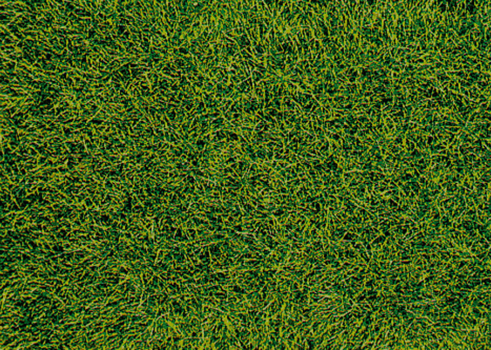 WILDGRAS MOORBODEN28X14CM