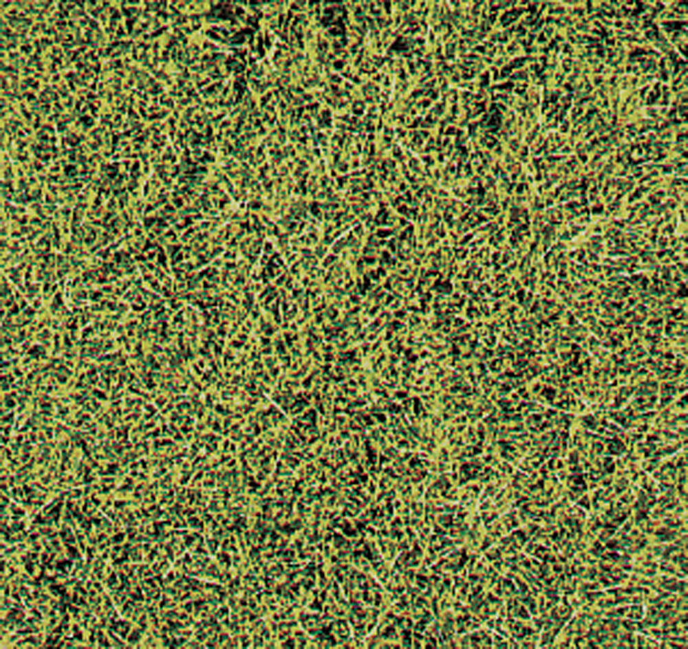 WILDGRAS SAVANNE 28X14CM