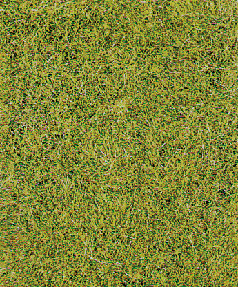 WILDGRAS WIESENGR.28X14CM