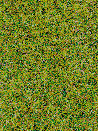 WILDGRAS WALDBODEN28X14CM