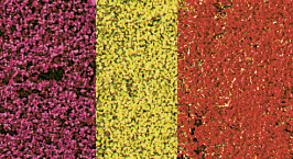 BLUMENDEKOR BUNT 28X14CM