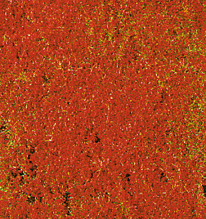 BLUMENDEKOR ROT 28X14CM