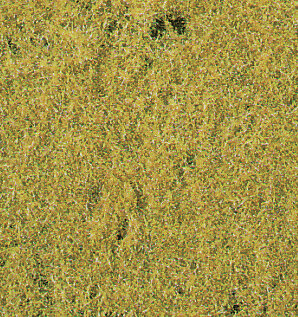 WIESENGRAS H.GRUN 28X14CM