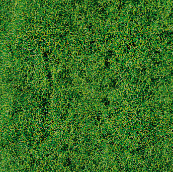 WIESENGRAS HERBST 28X14CM