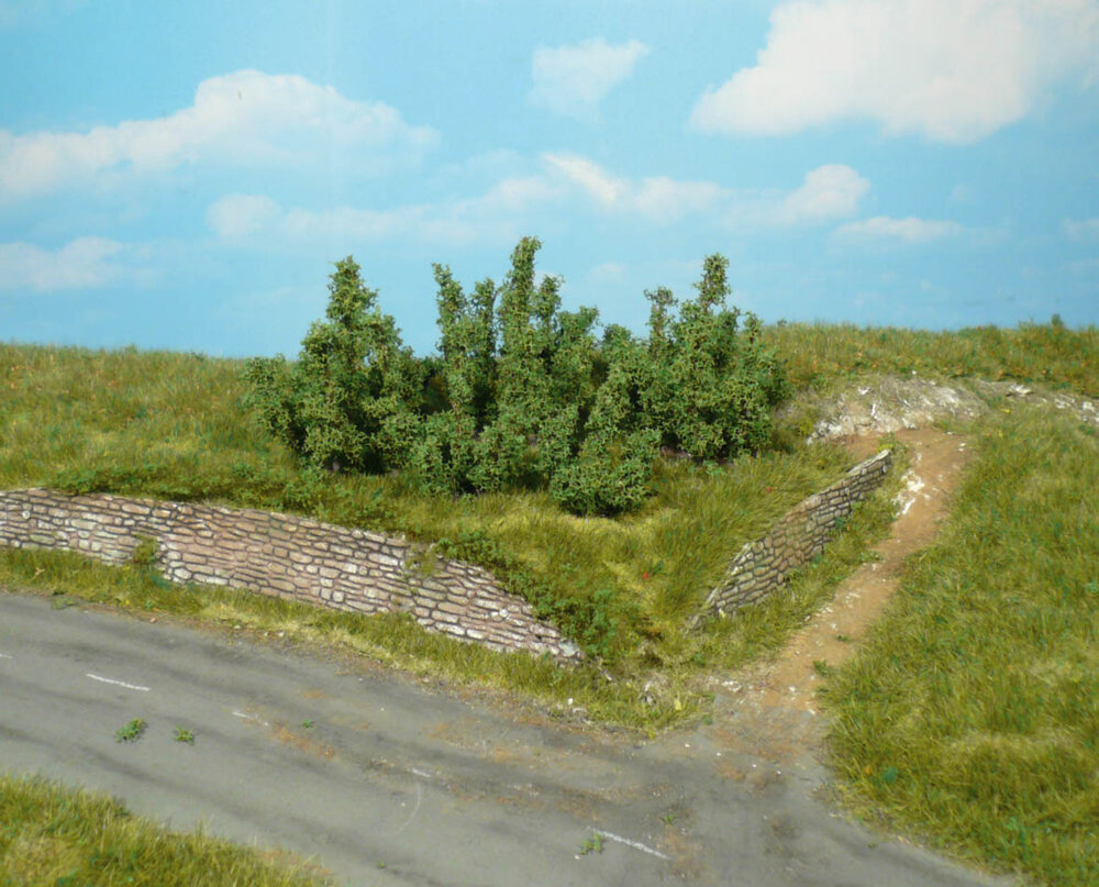 10 BUSCHE 3CM
