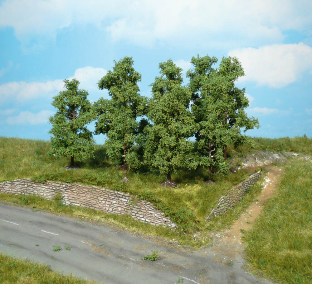 5 OBSTBAUME 5-8CM