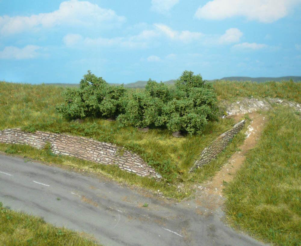 8 BUSCHE 4CM (1)