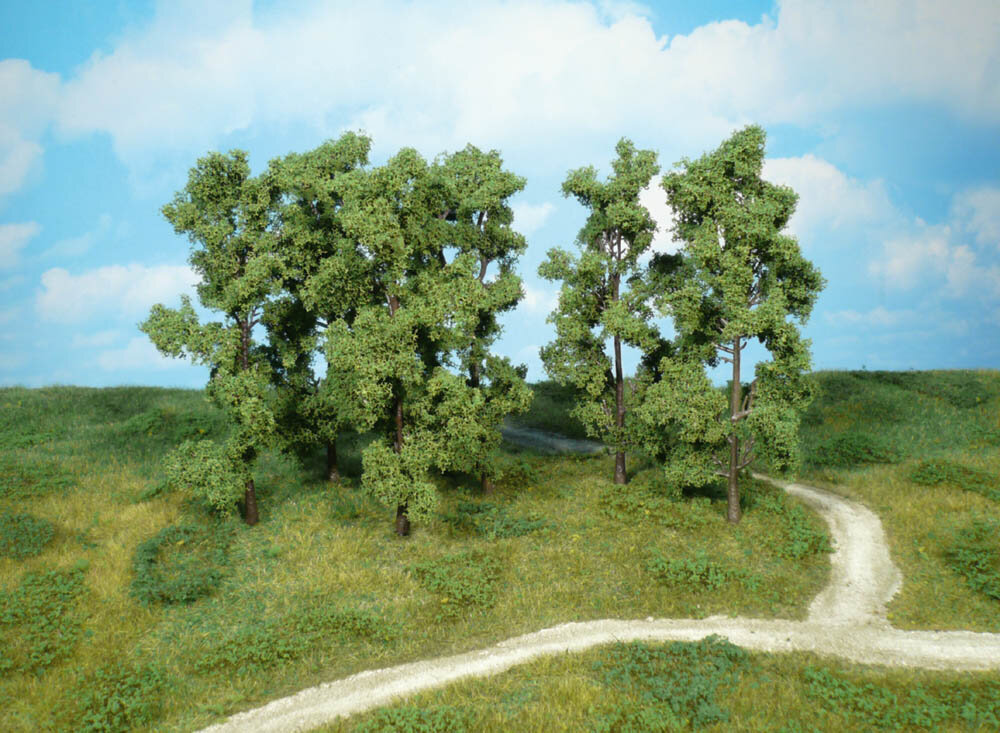 6 ERLEN 18CM