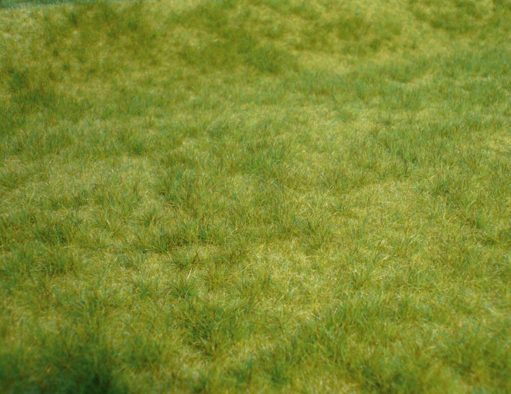 WILDGRAS FRUHLING 45X17CM