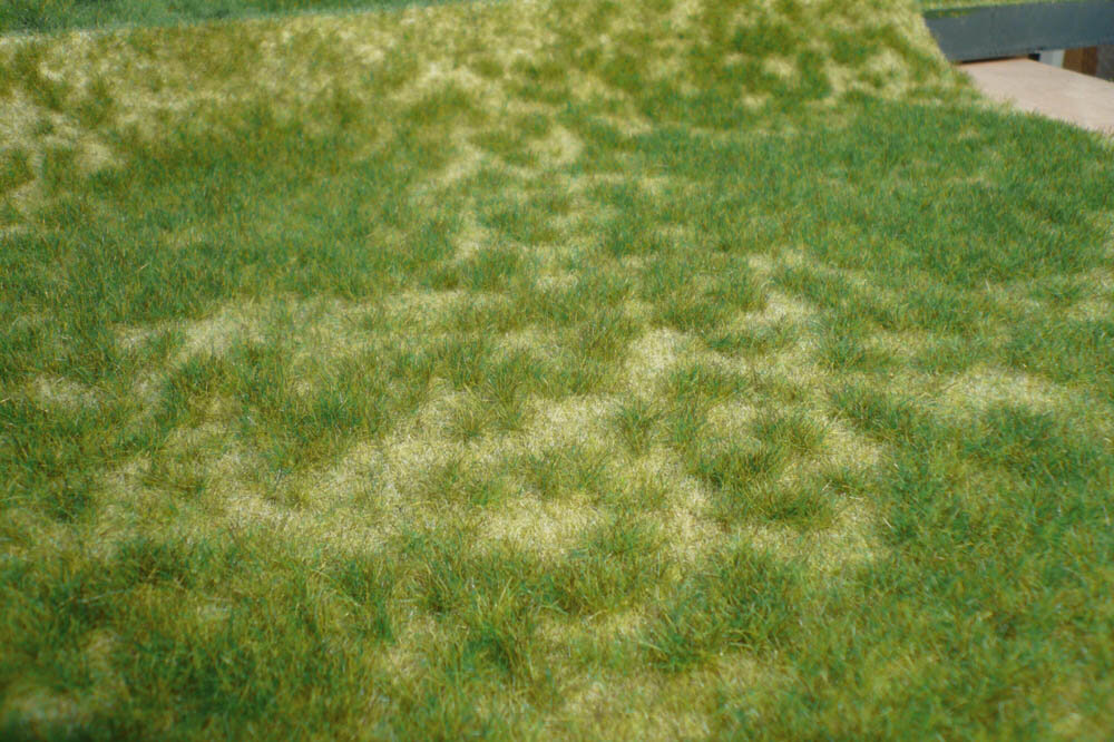 WILDGRAS SOMMER 45X17CM