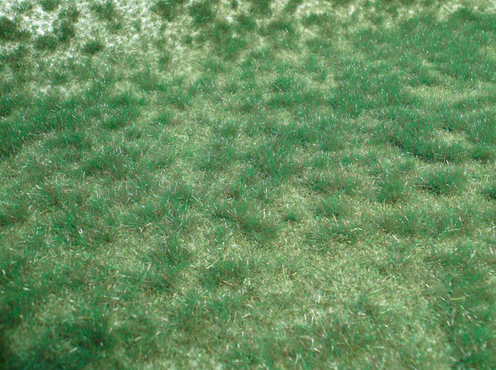 WILDGRAS MOORBODEN45X17CM