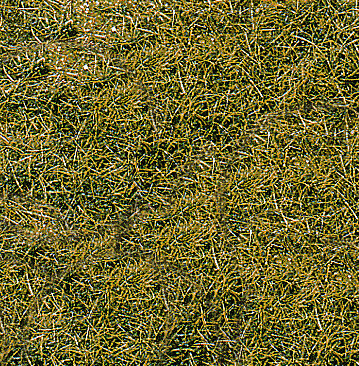 WILDGRAS BERGWIESE40X40CM