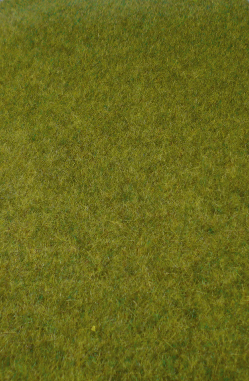 WILDGRAS WALDBODEN45X17CM