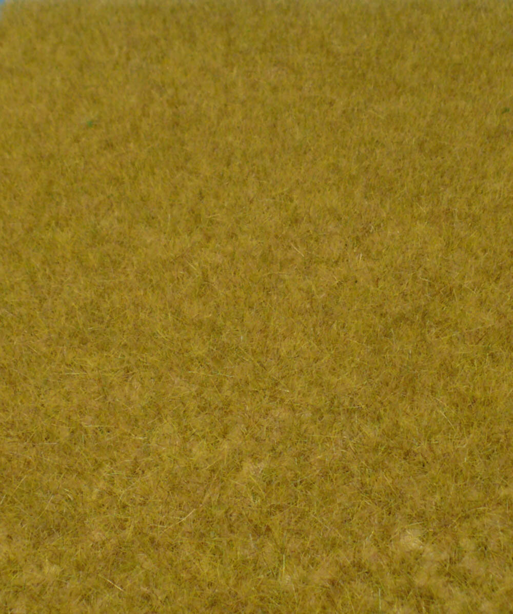 WILDGRAS SAVANNE 45X17CM (1)
