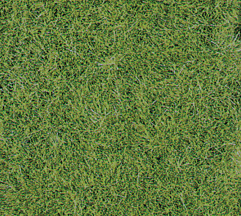 WILDGRAS WIESENGR.40X24CM