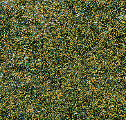 WILDGRAS BERGWIESE40X24CM