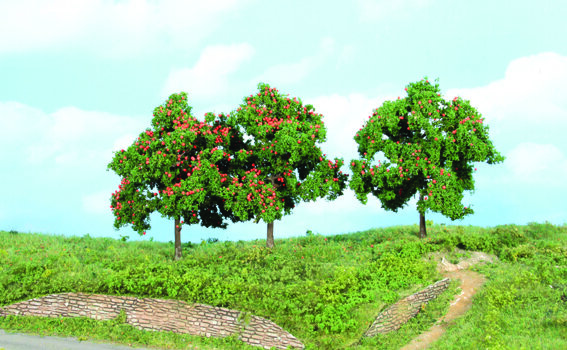 apple trees 13 cm / 3 pc