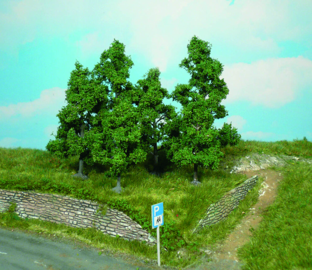 5 OBSTBAUME 5CM