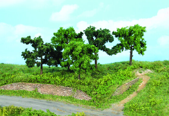 fruit trees 8-10 cm / 5 pc