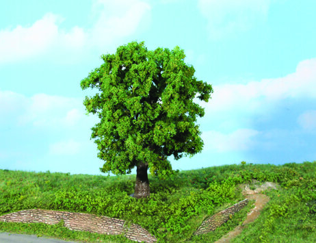 chestnut tree 18 cm