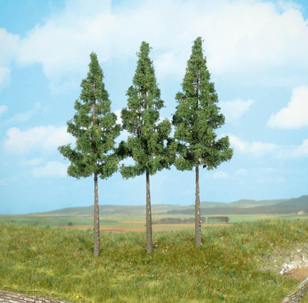 3 HOCHSTAMMFICHTEN 17CM