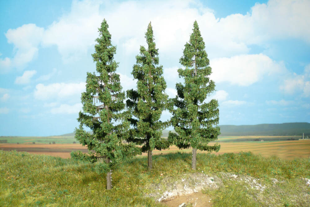 3 FICHTEN 17CM
