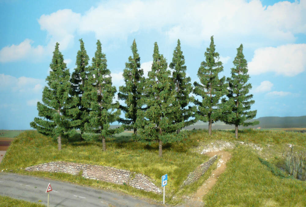 8 FICHTEN 17CM