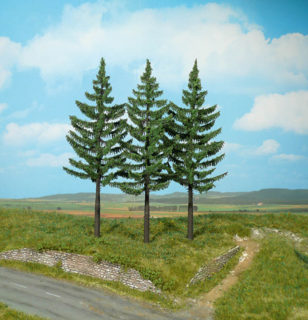 3 HOCHSTAMMFICHTEN 21CM