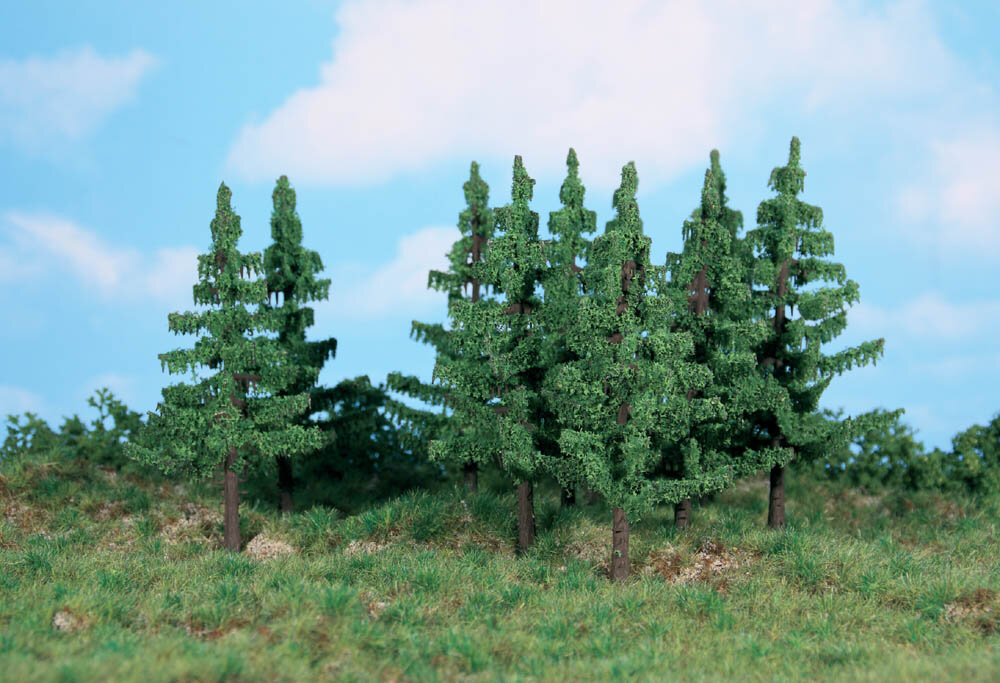 10 FICHTEN 12CM