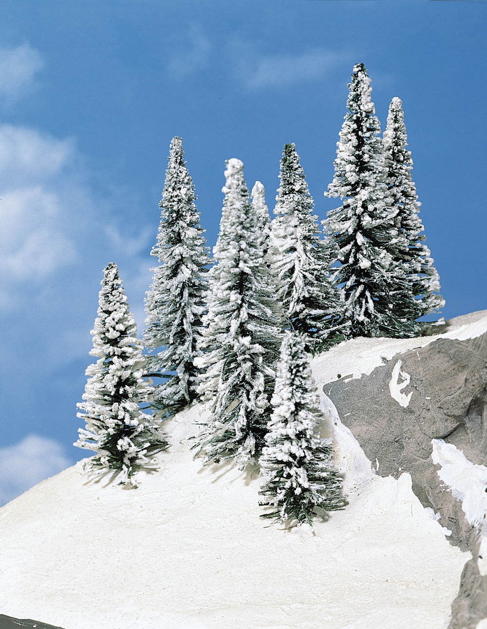 8 SCHNEETANNEN 5-7CM