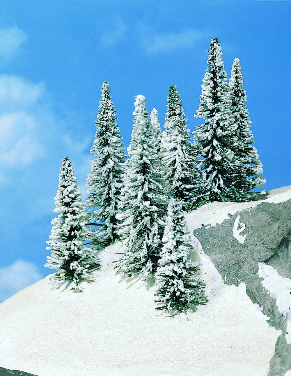 8 SCHNEETANNEN 7-12CM